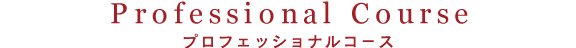 プロフェッショナルコース