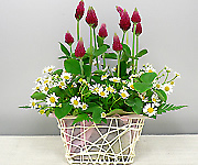 ラワーアレンジおためし体験レッスン