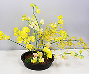 フラワーデザイン事初めレッスン作品